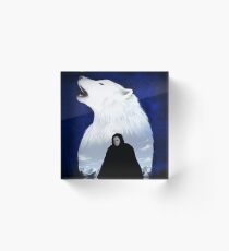 the wolf in the snow Acrylic Block