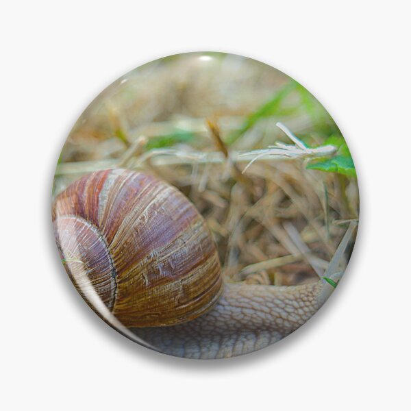 Item preview, Garden Snail Crawling in Grass Macro designed and sold by Rogi74.