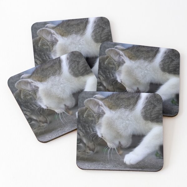Item preview, Two Cute Curious Cats Interacting Close Up designed and sold by Rogi74.