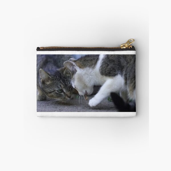 Item preview, Two Cute Curious Cats Interacting Close Up designed and sold by Rogi74.