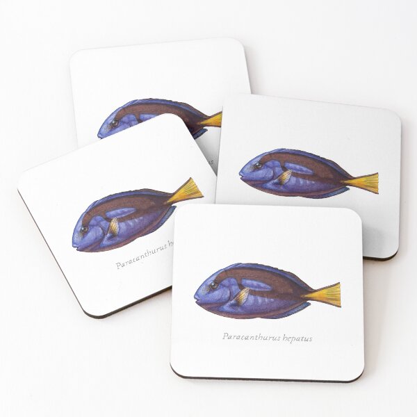 Item preview, Regal Blue Tang Fish with Scientific name - Watercolor Illustration designed and sold by AquarellChill.