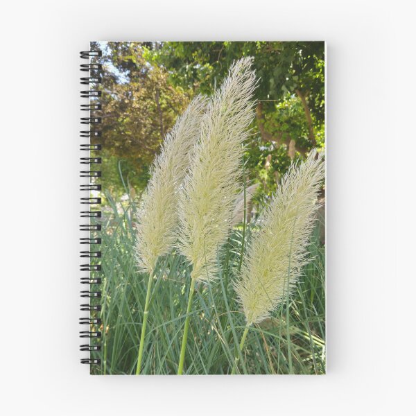 Item preview, Boho Pampas Grass in Summer Sun designed and sold by Yanshuf.