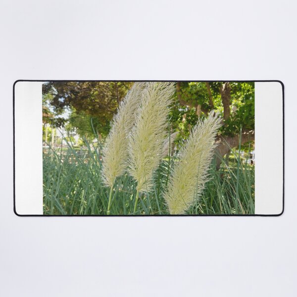 Item preview, Boho Pampas Grass in Summer Sun designed and sold by Yanshuf.