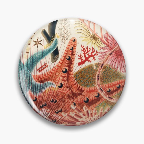 Item preview, Great Barrier Reef Echinoderms (Saville-Kent, 1893) designed and sold by A Little Bit Ludo.