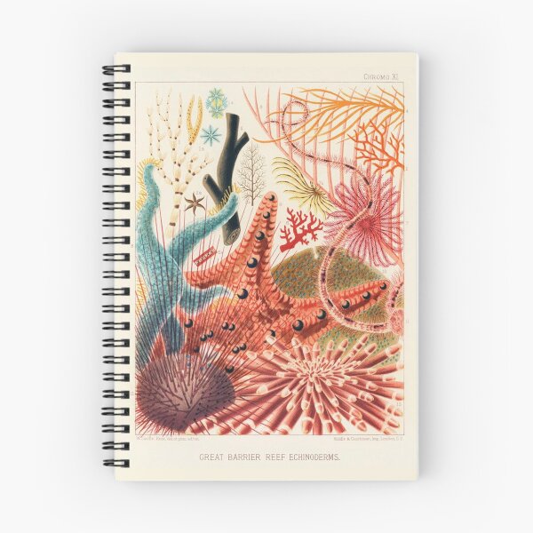 Item preview, Great Barrier Reef Echinoderms (Saville-Kent, 1893) designed and sold by A Little Bit Ludo.