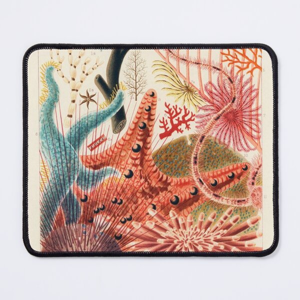Item preview, Great Barrier Reef Echinoderms (Saville-Kent, 1893) designed and sold by A Little Bit Ludo.