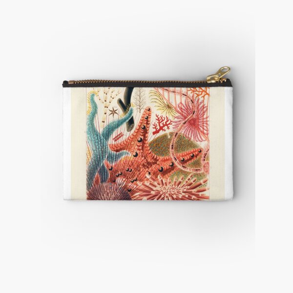 Item preview, Great Barrier Reef Echinoderms (Saville-Kent, 1893) designed and sold by A Little Bit Ludo.
