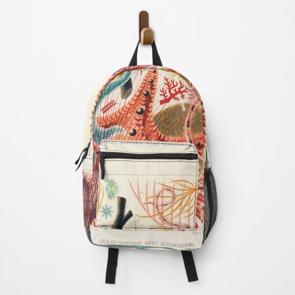 Item preview, Great Barrier Reef Echinoderms (Saville-Kent, 1893) designed and sold by A Little Bit Ludo.