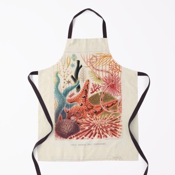 Item preview, Great Barrier Reef Echinoderms (Saville-Kent, 1893) designed and sold by A Little Bit Ludo.