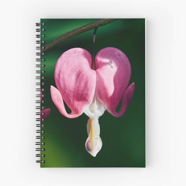 Item preview, Asian Bleeding Heart designed and sold by Eidetic Photos.