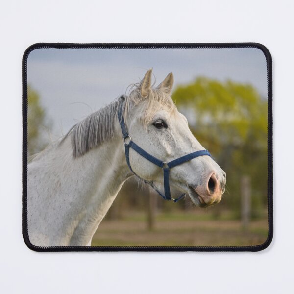 Item preview, Beautiful White Horse Portrait in Nature designed and sold by Rogi74.