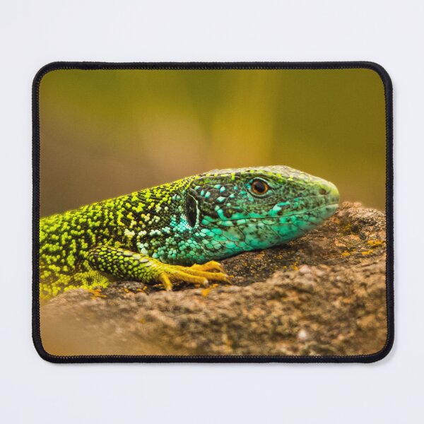 Item preview, Emerald Portrait designed and sold by gabormedve.