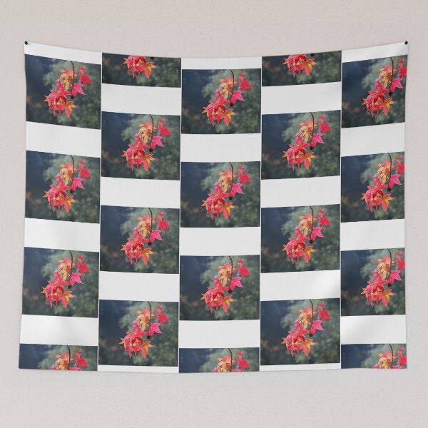 Item preview, Fall In California designed and sold by wraylorette23.