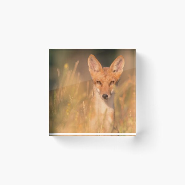 Item preview, Eyes of the Wild designed and sold by gabormedve.