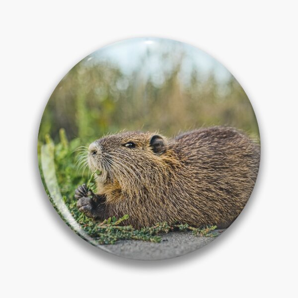 Item preview, Cute Nutria Eating Grass Wildlife Photo designed and sold by Rogi74.