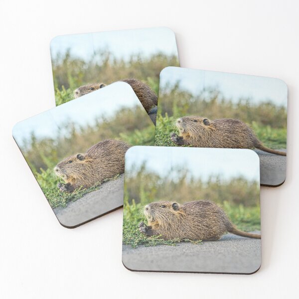 Item preview, Cute Nutria Eating Grass Wildlife Photo designed and sold by Rogi74.
