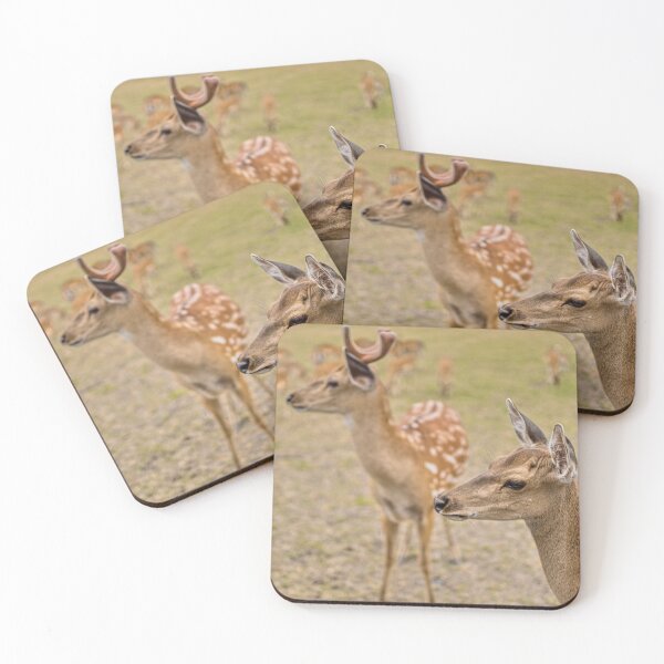 Item preview, Spotted Fallow Deer Herd Close Up designed and sold by Rogi74.