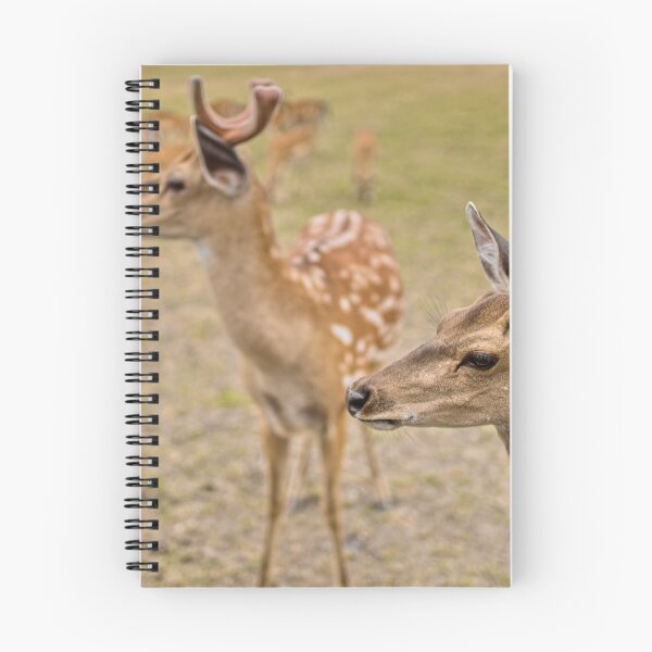 Item preview, Spotted Fallow Deer Herd Close Up designed and sold by Rogi74.