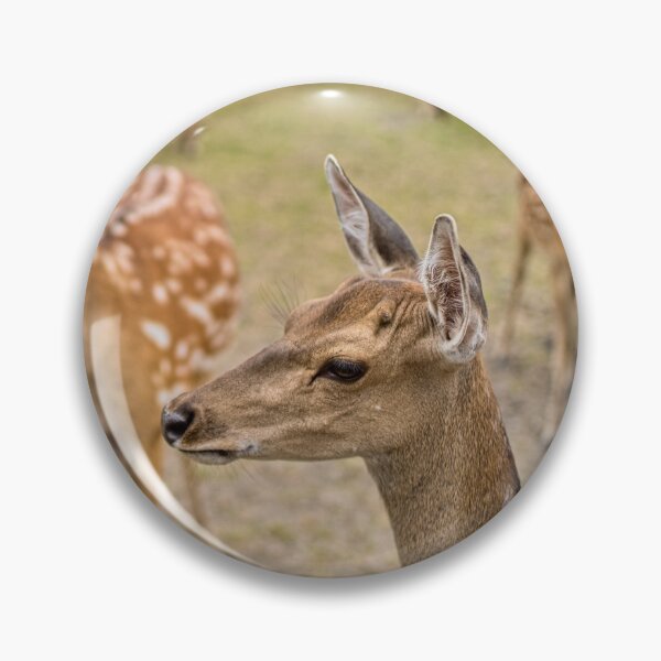 Item preview, Spotted Fallow Deer Herd Close Up designed and sold by Rogi74.
