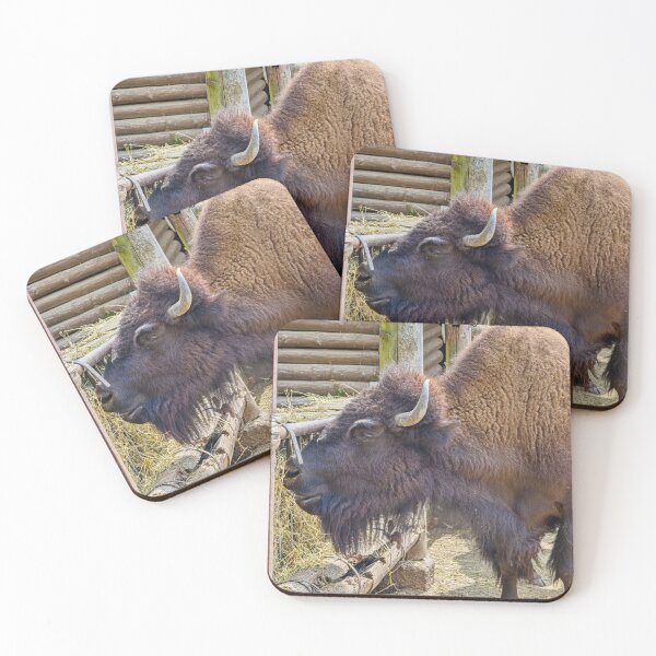 Item preview, Majestic American Bison Feeding at Farm designed and sold by Rogi74.