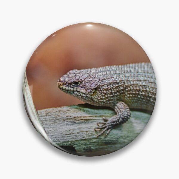 Item preview, Textured Gidgee Skink Lizard on Wood designed and sold by Rogi74.