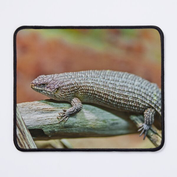 Item preview, Textured Gidgee Skink Lizard on Wood designed and sold by Rogi74.