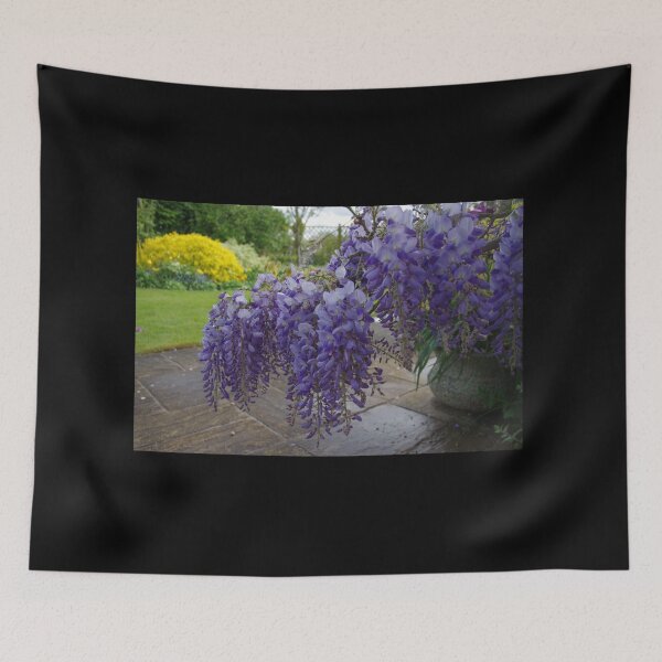 Item preview, Wisteria in Spring designed and sold by lezvee.