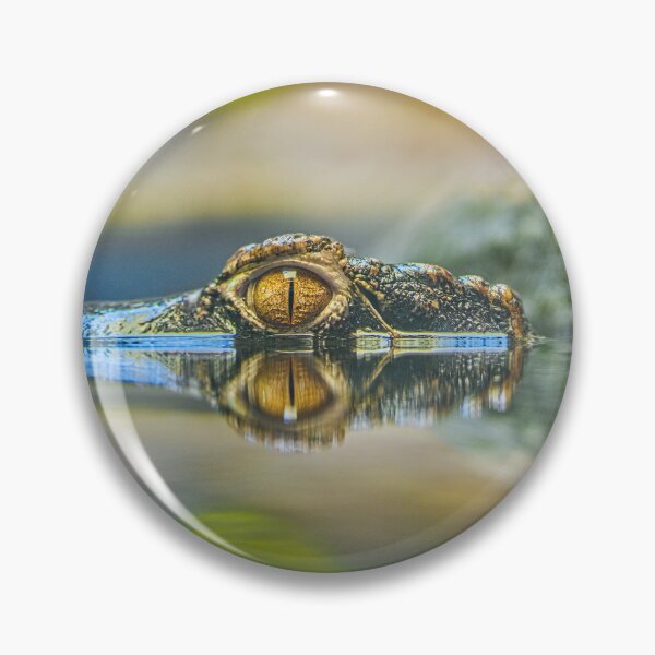 Item preview, Ojo de cocodrilo dorado y reflejo en el agua designed and sold by Rogi74.