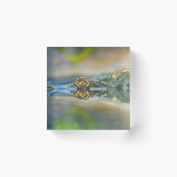 Item preview, Golden Crocodile Eye and Water Reflection designed and sold by Rogi74.