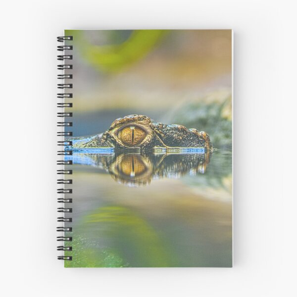 Item preview, Ojo de cocodrilo dorado y reflejo en el agua designed and sold by Rogi74.