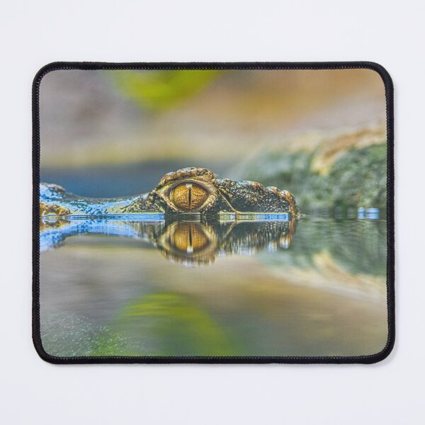 Item preview, Golden Crocodile Eye and Water Reflection designed and sold by Rogi74.
