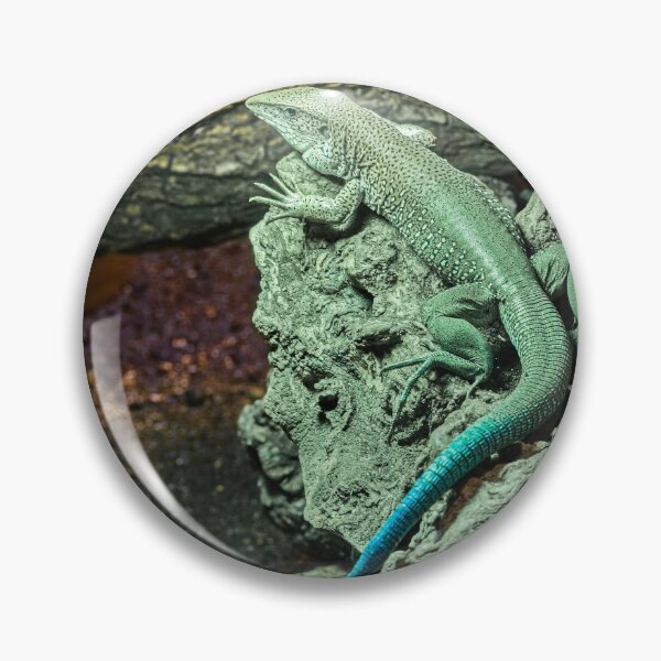 Item preview, Jewelled Lizard with Turquoise Tail on Rock designed and sold by Rogi74.
