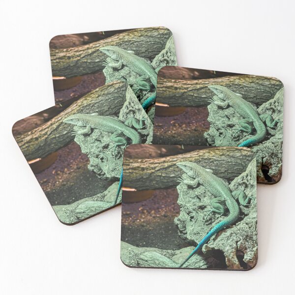 Item preview, Jewelled Lizard with Turquoise Tail on Rock designed and sold by Rogi74.