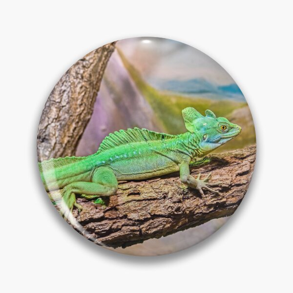 Item preview, Vibrant Green Plumed Basilisk Lizard on Branch designed and sold by Rogi74.