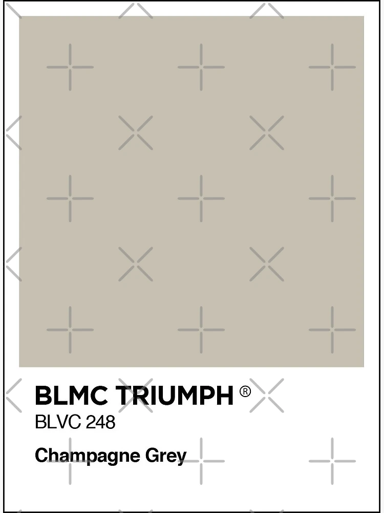 Aperçu 2 sur 2. Carte postale avec l'œuvre BL Triumph Champagne grey colour swatch Mug & Sticker créée et vendue par RJWautographics Mugs and Stickers.