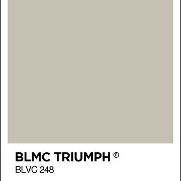 Aperçu de l'œuvre BL Triumph Champagne grey colour swatch Mug & Sticker de RJWautographics Mugs and Stickers
