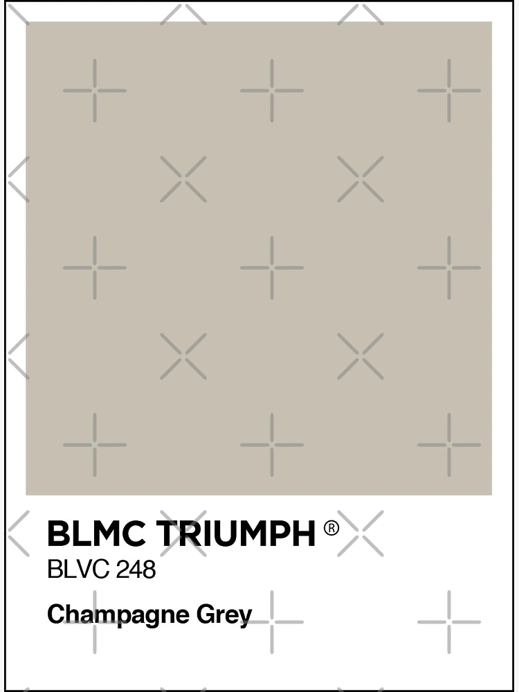Aperçu 3 sur 3. Magnet avec l'œuvre BL Triumph Champagne grey colour swatch Mug & Sticker créée et vendue par RJWautographics Mugs and Stickers.