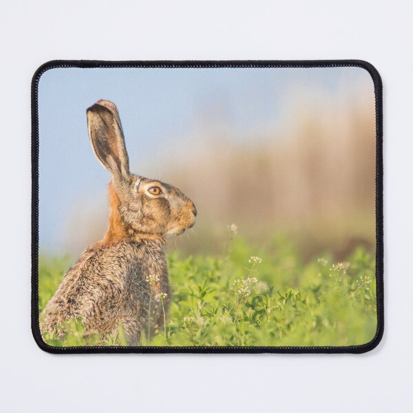 Item preview, Listening to the Wild designed and sold by gabormedve.