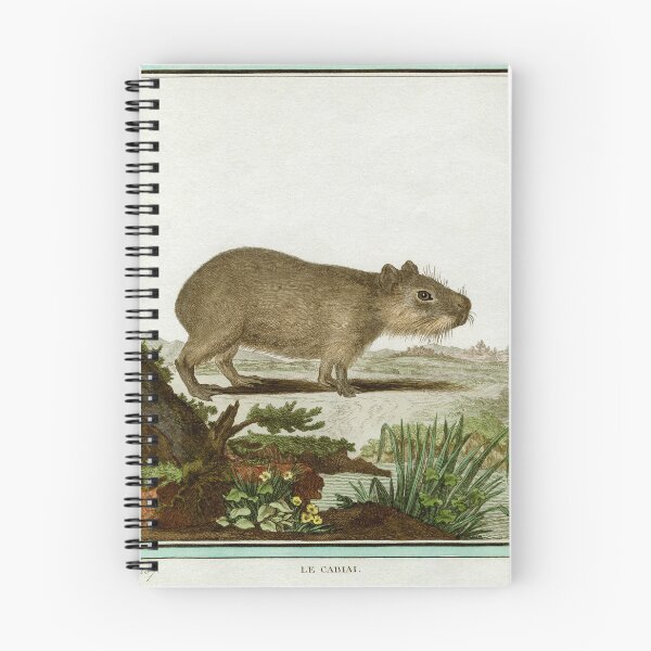 Item preview, Capybara, drawn in 1780 for Comte de Buffon designed and sold by TerryKerrImages.