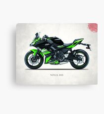 The Ninja 650 Canvas Print