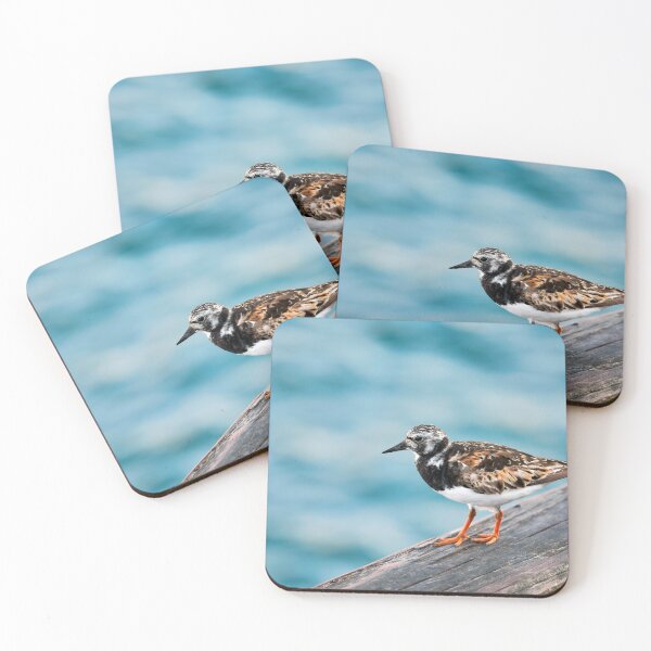 Item preview,  Ruddy Turnstone - Arenaria interpres in Summer Plumage designed and sold by Dorset Girl.
