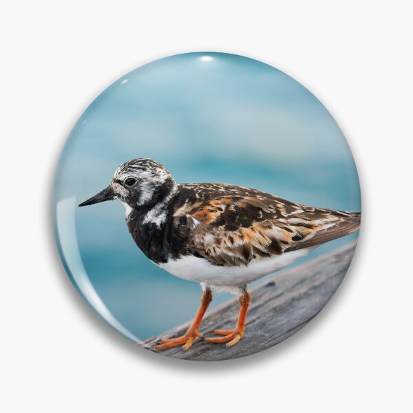 Item preview,  Ruddy Turnstone - Arenaria interpres in Summer Plumage designed and sold by Dorset Girl.