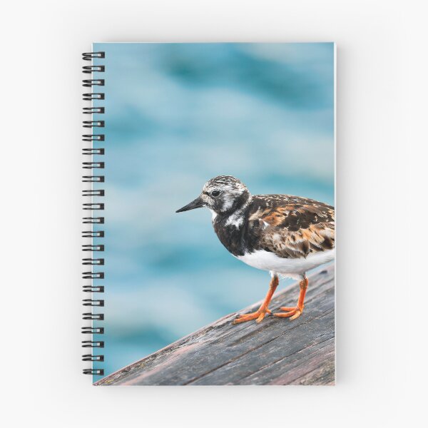 Item preview,  Ruddy Turnstone - Arenaria interpres in Summer Plumage designed and sold by Dorset Girl.