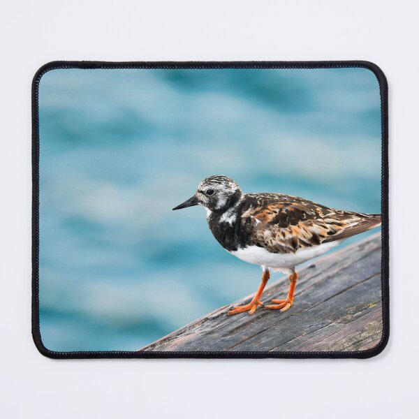 Item preview,  Ruddy Turnstone - Arenaria interpres in Summer Plumage designed and sold by Dorset Girl.