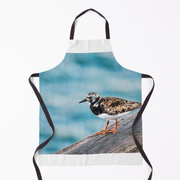 Item preview, Ruddy Turnstone - Arenaria interpres in Summer Plumage designed and sold by Dorset Girl.