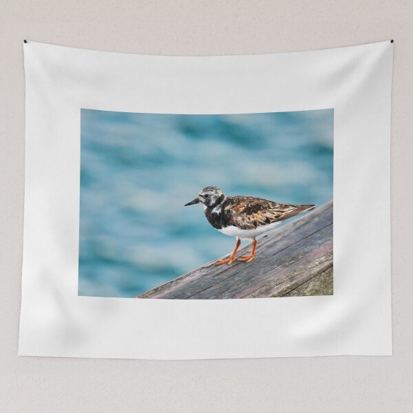 Item preview,  Ruddy Turnstone - Arenaria interpres in Summer Plumage designed and sold by Dorset Girl.