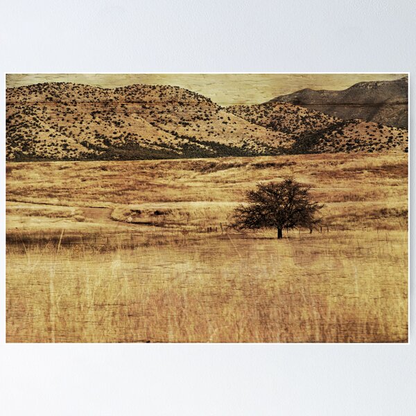 Item preview, Desolate designed and sold by Barbara Manis.