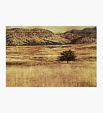 Desolate Photographic Print