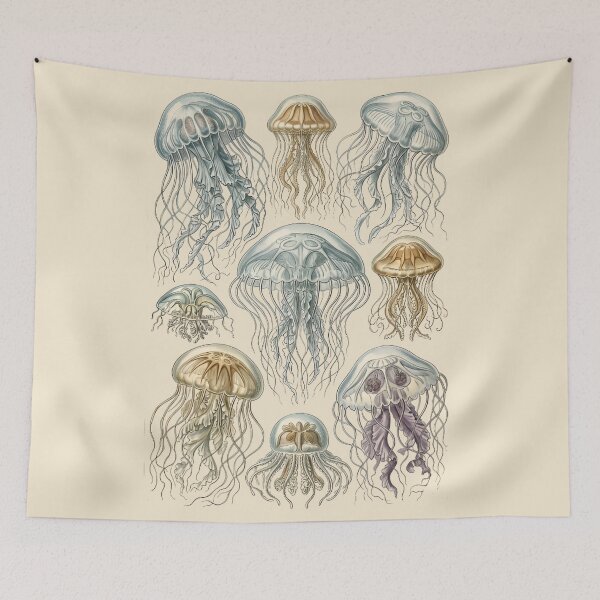Item preview, Vintage Jellyfish Plate Wall Art – Antique Marine Biology Natural History Illustration designed and sold by ZyxDes.