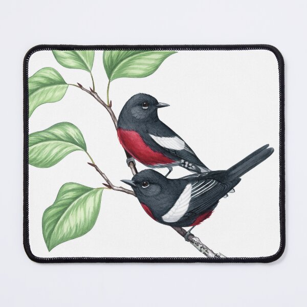 Item preview, Painted Redstart (Myioborus pictus) designed and sold by JadaFitch.